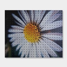 앤비커머스 인테리어 타공판 꽃술, 1개, White