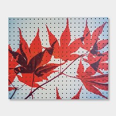 Envy Commerce 室內裝飾洞洞板 紅色落葉, 1個, 白色