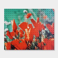 NB Commerce 室內設計洞洞板 綠色鬱金香, 1個, White