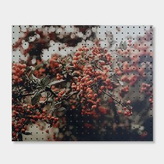 NB Commerce 室內裝飾洞洞板 圓圓款, 1個, 白色