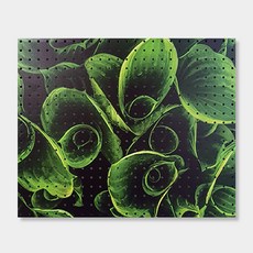 NB Commerce 室內裝潢洞洞板 捲葉掛鉤, 1個, 白色