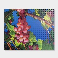 NB Commerce 室內裝潢洞洞板 Grapetongtong, 1個, 白色