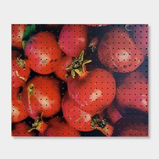 앤비커머스 인테리어 타공판 열대, 1개, White