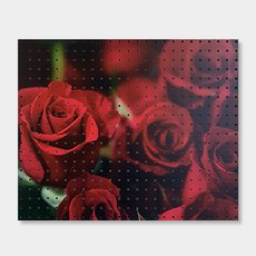 NB Commerce 室內裝飾洞洞板 放大玫瑰, 1個, White