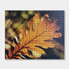 NB Commerce 家居裝飾洞洞板 黃色落葉, 1個, 白色