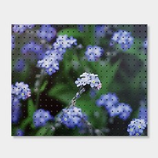 NB Commerce 室內裝飾洞洞板 藍色, 1個, 白色