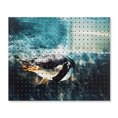 Envy Commerce 室內裝飾洞洞板 企鵝企鵝 White, 1個, 混合顏色