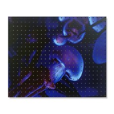 Nbecome 室內設計洞洞板 神秘水母 白色, 1個, 混合顏色