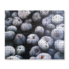 Nbecome 室內裝潢洞洞板 灰南瓜 White, 1個, 混合顏色