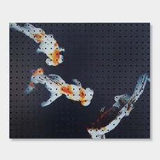 NB Commerce 室內裝飾洞洞板 金魚朋友們, 1個, Black