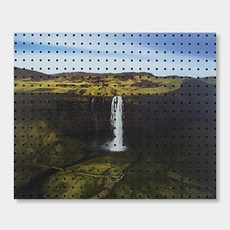 앤비커머스 室內裝飾洞洞板 蔥鬱自然, 1個, 黑色