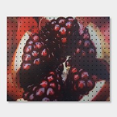 Anby Commerce 室內裝飾洞洞板 石榴啵啵, 1個, 黑色