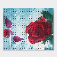 NB Commerce 室內洞洞板 水中攝影, 1個, 黑色