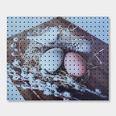 앤비커머스 室內裝潢洞洞板 復活節, 1個, 黑色