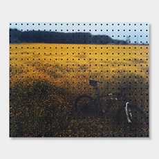 Anbcommerce 室內裝飾洞洞板 秋日單車, 1個, 黑色