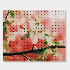 NB Commerce 室內裝飾洞洞板 春季花卉, 1個, 黑色