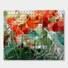 NB Commerce 室內裝飾洞洞板 晨花, 1個, 黑色