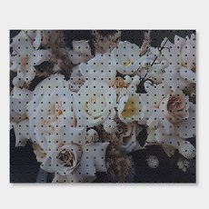 앤비커머스 室內裝飾洞洞板 白玫瑰花束, 1個, 黑色