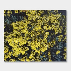 NB Commerce 室內洞洞板 Onggijonggi Yellow White, 1個, 混合顏色