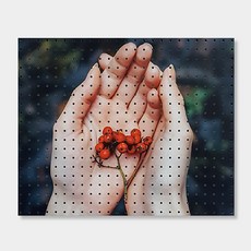 앤비커머스 인테리어 타공판 작은친구들 White, 1개, 혼합 색상