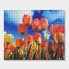 NB Commerce 室內裝飾洞洞板 遊樂園鬱金香 White, 1個, 混合顏色