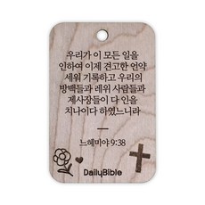 투제이 성경말씀 차량용 목걸이 Wood 느헤미야 9:38, 혼합 색상, 1개