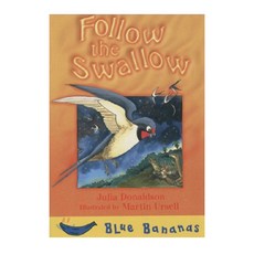 Follow the swallow, EGMONT