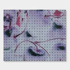 NB Commerce 室內裝潢洞洞板 冰櫻桃, 1個, BLACK