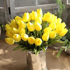 블랙앤화이트 인테리어 디자인 조화 튤립 가지 5p, 옐로우, 5개