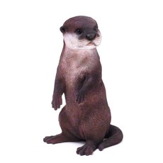 펫뱅크 MAGNET 다이캐스트 수달 2911, 브라운, 1개