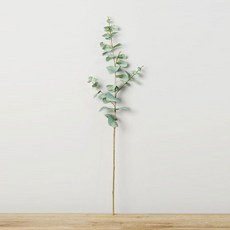 Black&White 尤加利葉裝飾樹枝, 綠色