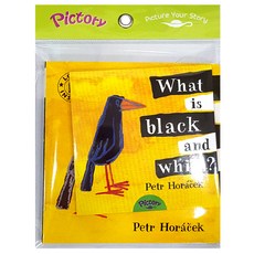 Pictory Set IT-20: What is Black and White? (with Audio CD ), 투판즈