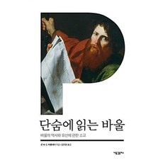 단숨에 읽는 바울, 새물결플러스