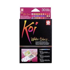 SAKURA 固體油漆+毛筆套組, 30個