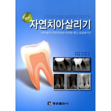 Yes자연치아살리기, 명문출판사, 조종만,박선희 공저/박준봉,최기운 감수