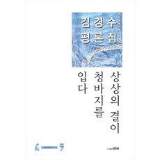상상의 결이 청바지를 입다:김경수 평론집, 현자, 김경수 저