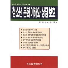 青少年文化理解與諮詢保護：盧淳圭院長的第127本著作, 盧淳圭 著, 韓國企業經營研究院