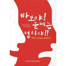 바보야 문제는 정치야_COLIN HAY_2009, 한국외국어대학교출판부, Colin Hay 저/하상섭 역