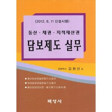 동산 채권 지적재산권 담보제도 실무:2012 6 11 신설시행, 백영사