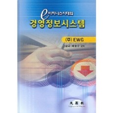 e 비즈니스시대의경영정보시스템, 대영사, 고영국