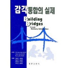 감각통합의 실제, 영문출판사, Ellen Yack 외 저/권혜련 외 역