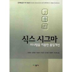 식스 시그마 : 미니탭을 이용한 품질개선_로빈 핸더슨_2008, 사이플러스, 로빈 핸더슨 저/강창완 등역