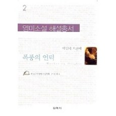 폭풍의 언덕, 신아사, 고영란 저