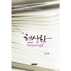 現象學： 詩意感性的知性, 宋錫琅 著, 韓國外國語大學出版部