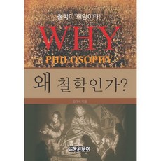 為何是哲學, 康大錫, 中原文化