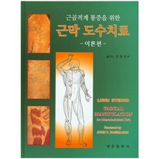 근골격계 통증을 위한 근막 도수치료(이론편)_Luigi Stecco_2014, 영문출판사, Luigi Stecco 저