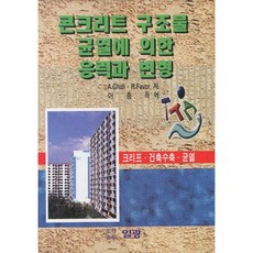 PublishingIlgwang 混凝土結構物裂縫引起的應力與變形, R.Faver 等著, 日光