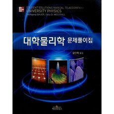 대학물리학 문제풀이집, 텍스트북스, Wolfgang Bauer