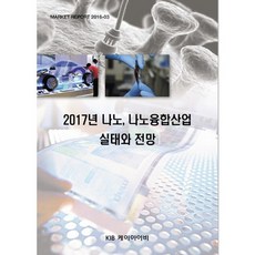 2017年奈米 奈米融合產業現況與展望, KIB, KIB編輯部