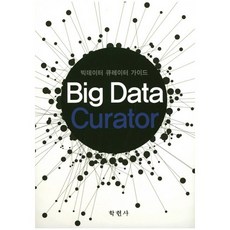 빅데이터 큐레이터 가이드_김영배_2017, 학현사, 김영배